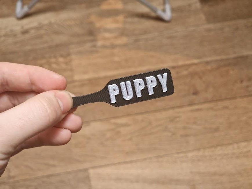 PUPPY BDSM Paddle Keychain with Custom Accent colour! Furry & Petplay Gift (etsy image id: 7782652252)
