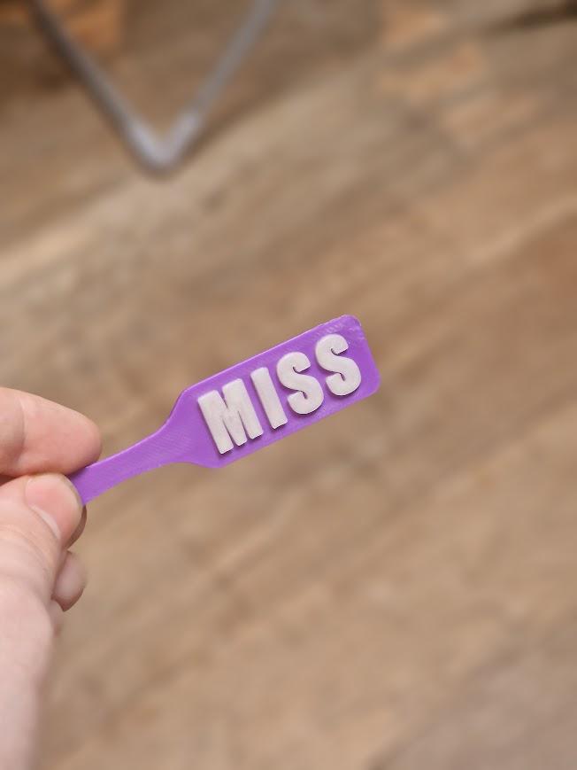 MISS BDSM Paddle Keychain with Custom Accent colour! Furry & Petplay Gift (etsy image id: 7782671938)