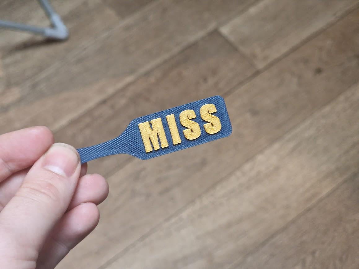 MISS BDSM Paddle Keychain with Custom Accent colour! Furry & Petplay Gift (etsy image id: 7830616595)