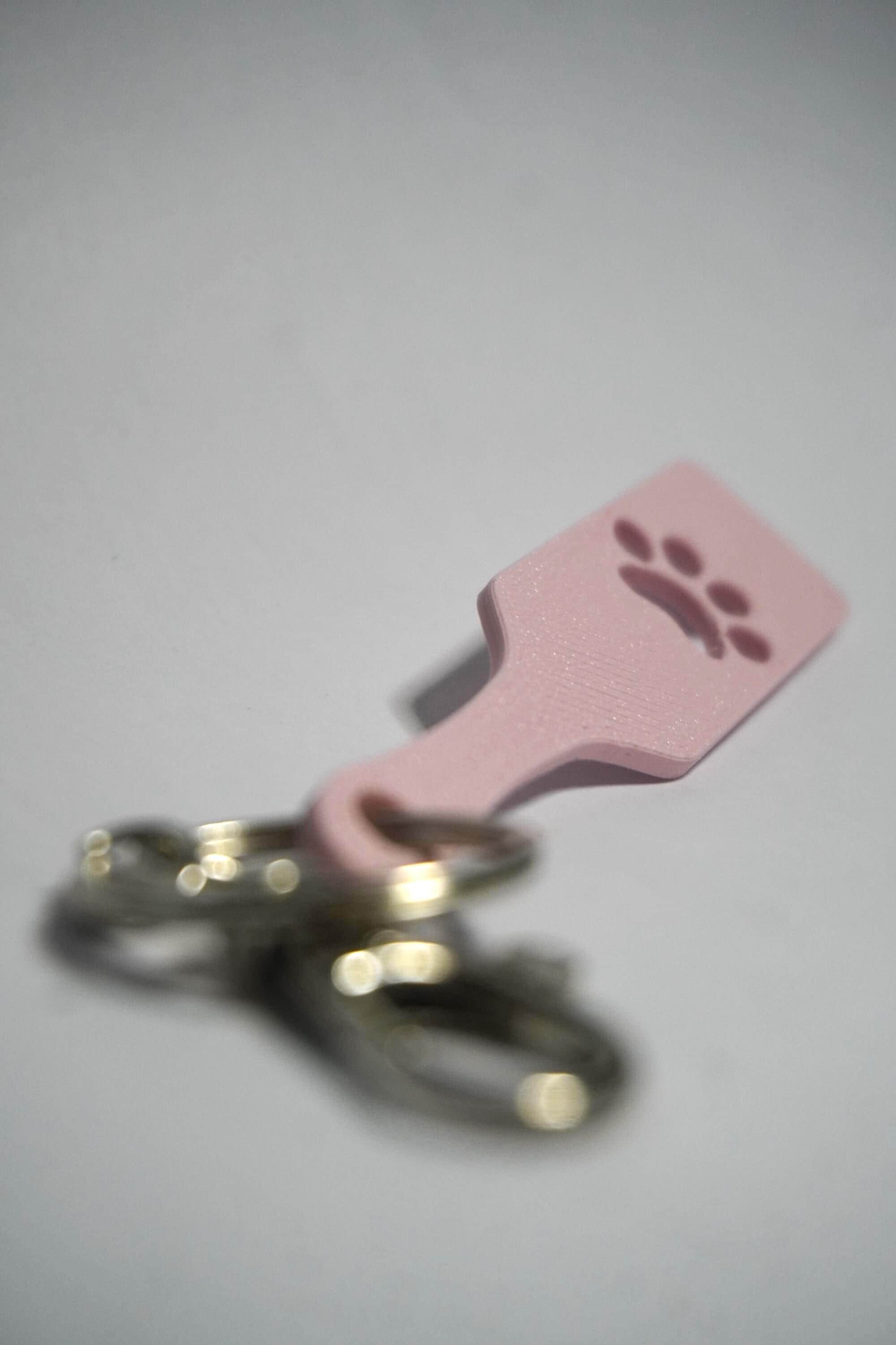 Paw Print Keychain - Pet Play & Furry Kinky BDSM 3d-Printed Accessory (etsy image id: 7995605850)